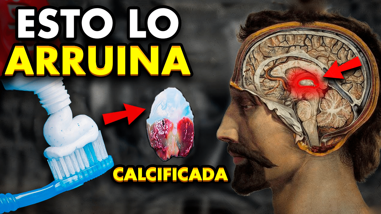 Desintoxica tu Glándula Pineal del Flúor - Tu Enfoque Mental