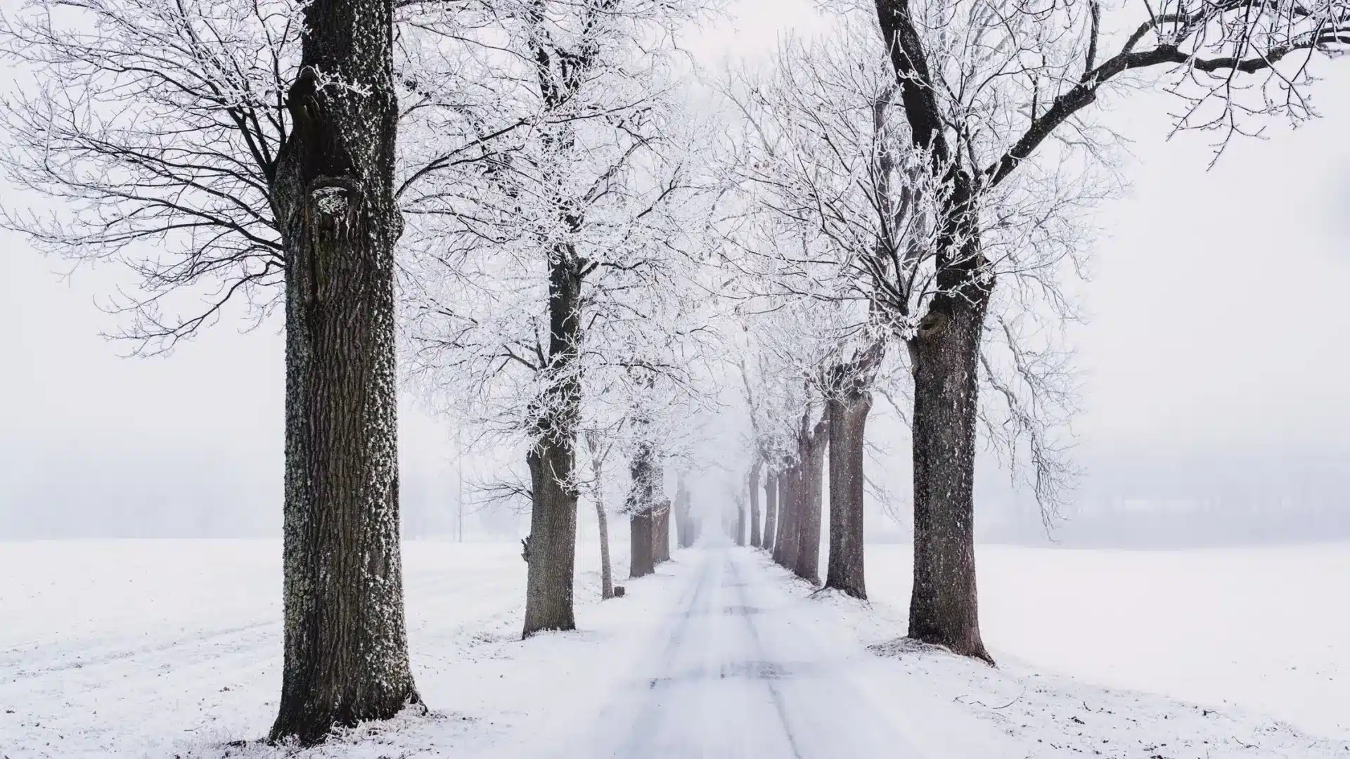 El misterio revelado: que significa soñar con nieve - Tu Enfoque Mental