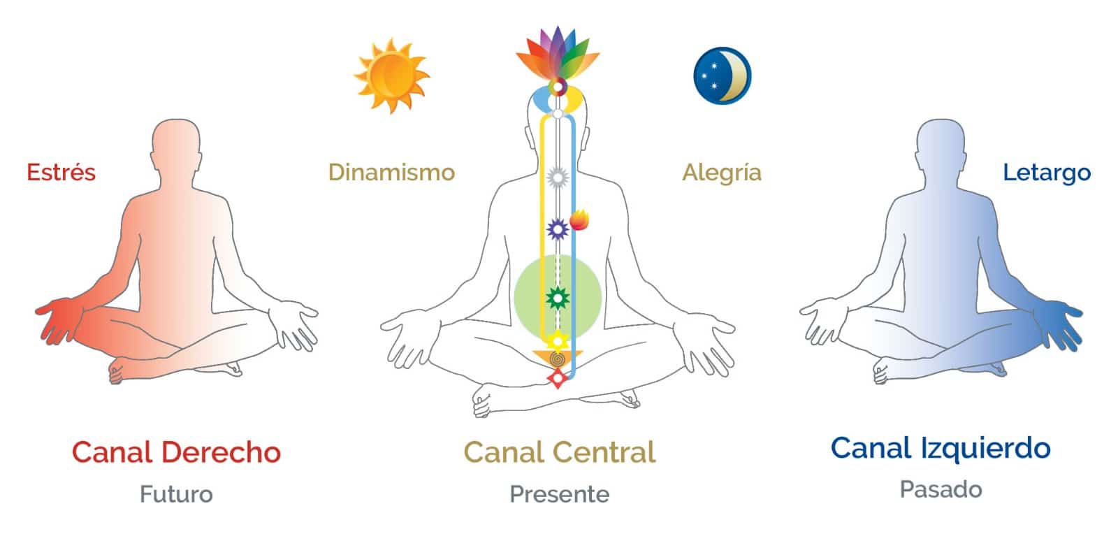 Los nadis: el secreto milenario de la energía y el equilibrio espiritual - Tu Enfoque Mental