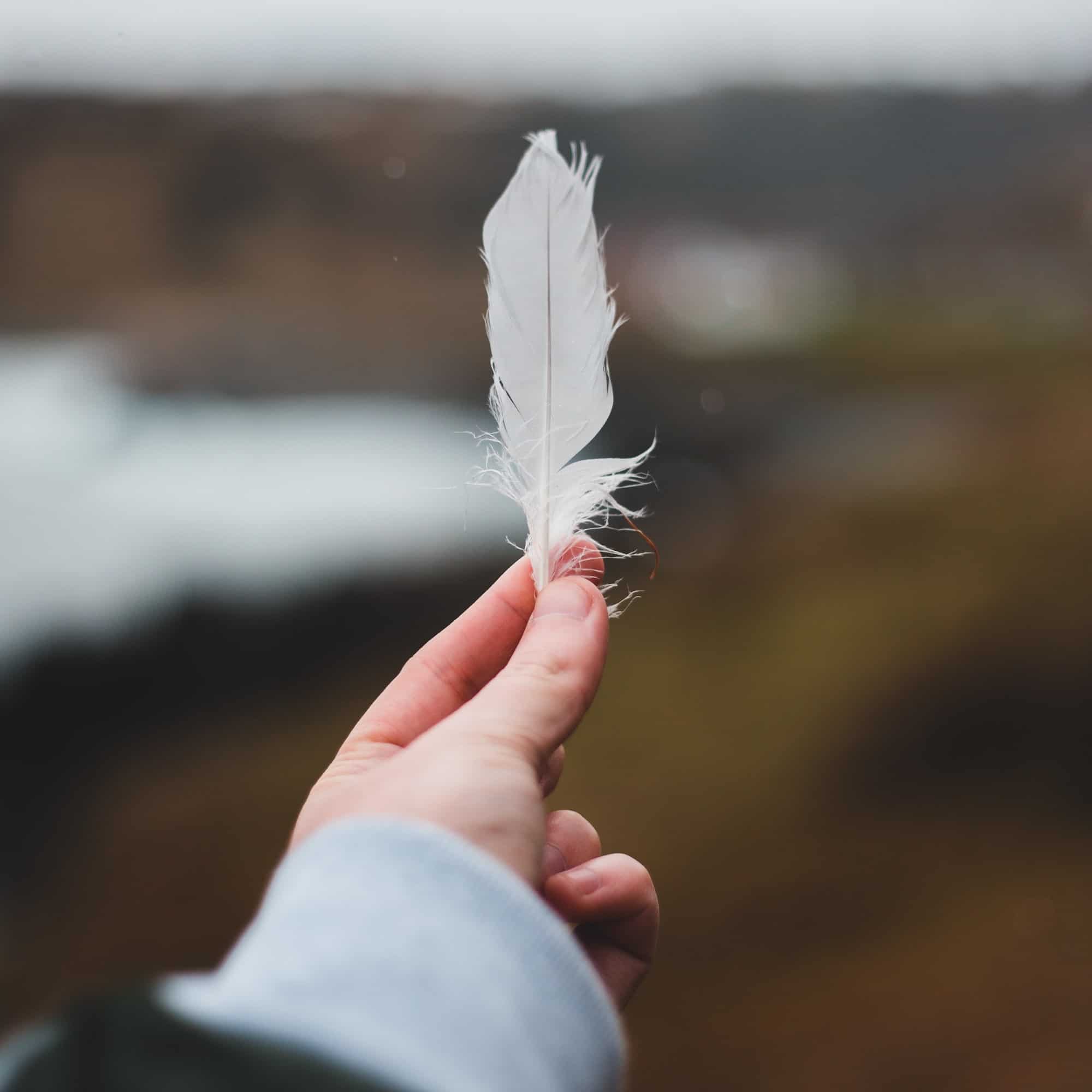 Significado oculto de ver plumas blancas: ¡descubre su poder espiritual! - Tu Enfoque Mental