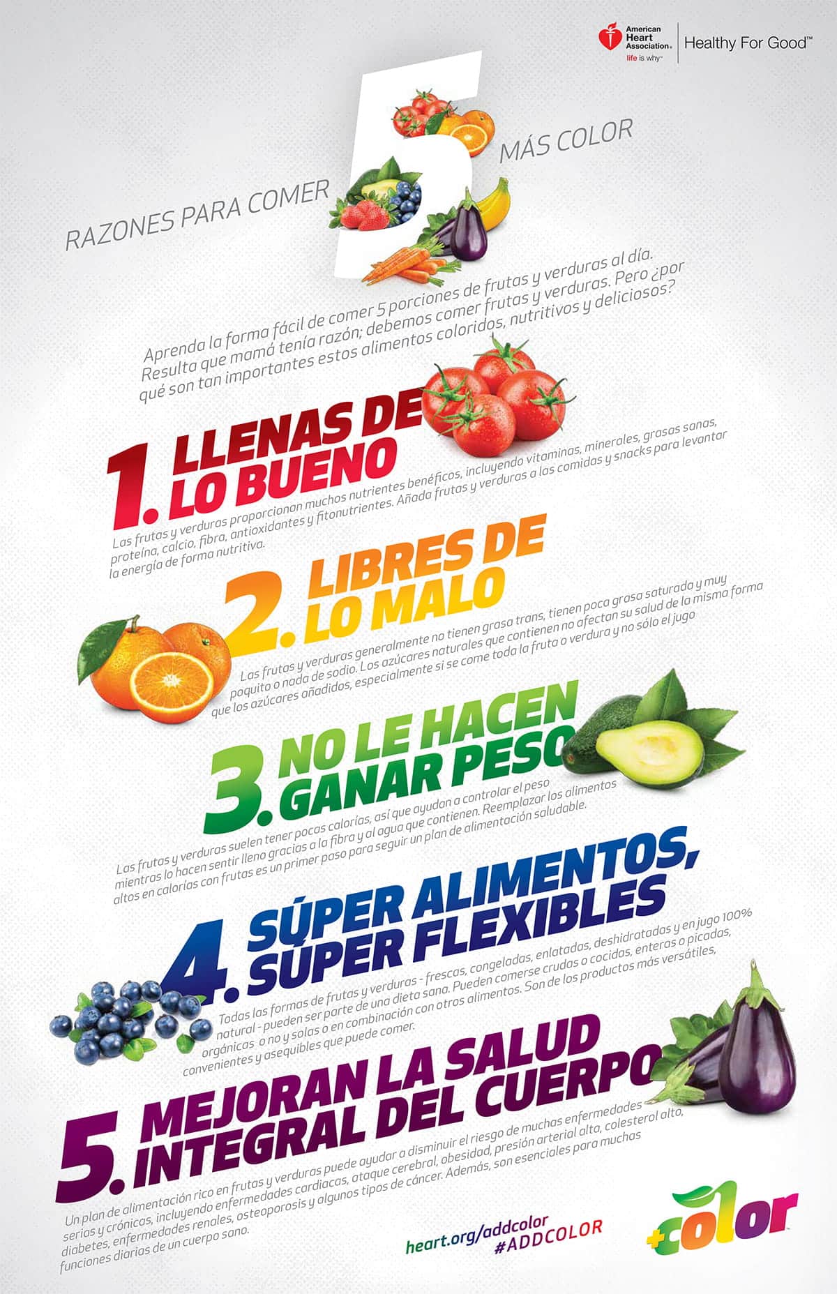 ¡Sorprendente cambio al comer solo fruta durante un día! Descubre sus impactantes beneficios - Tu Enfoque Mental